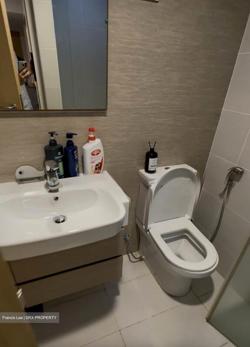 The Lakefront Residences (D22), Condominium #504633581